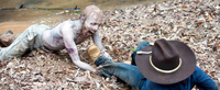   / The Walking Dead  2  11