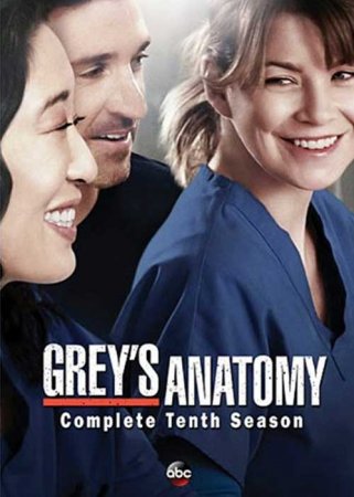   /   / Greys Anatomy ( 10) (2013)