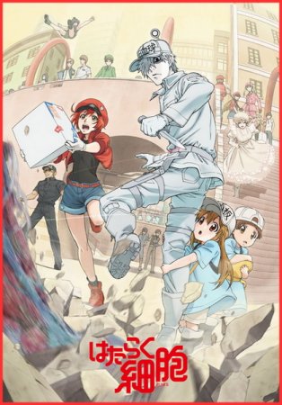   ! / Hataraku Saibou ( 1) (2018)