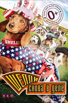     / Wiener Dog Internationals (2015)