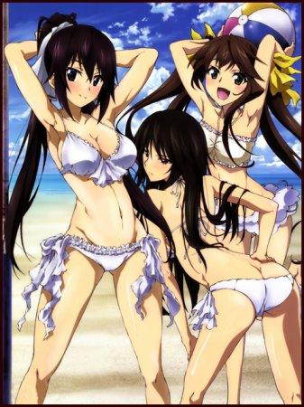   2 / IS: Infinite Stratos 2 (2013)