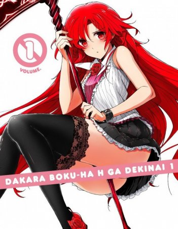  ,    ! /        ! /     ! / Dakara Boku wa, H ga Dekinai! (2012)